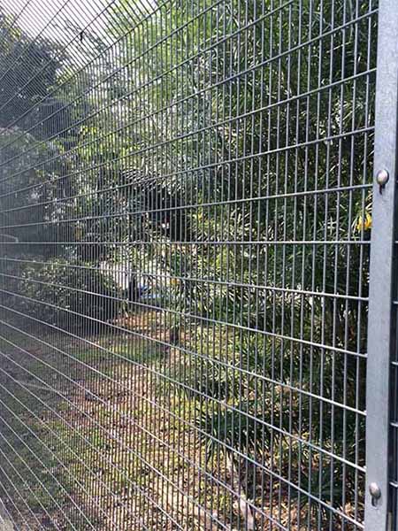 Chain link fence